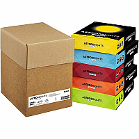 Wausau Paper Astrobrights 24 lb Colored Paper 24 lb Basis Weight - Printable, Acid-free, Lignin-free - Assorted - 500 Sheets - 500 Sheets per Ream - 5 Ream per Case - 5 / Carton (91457)