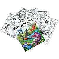 Crayola Bird Watching Coloring Book Printed Book 40 Pages - Book (041133)