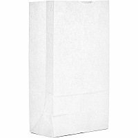 AJM Paper Grocery Bags (WB12NP5C)