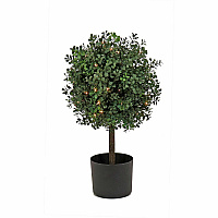 National Tree Company National Tree Boxwood Topiary Tree 2" Tall - Boxwood - Topiary - Pot1 Each (729083527173)