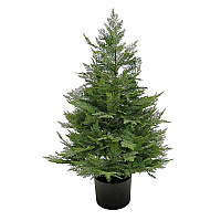 National Tree Company National Tree Cypress Topiary Tree 3" Tall - Cypress1 Each (729083527258)