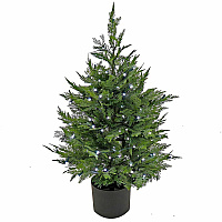 National Tree Company National Tree Cypress Topiary Tree Cypress - Topiary - Pot1 Each (729083527333)