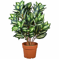 National Tree Company National Tree Hosta Topiary Plan 30" Tall - Hosta - Topiary - Pot1 Each (729083600357)