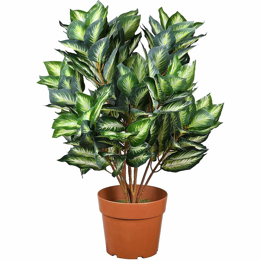 National Tree Company National Tree Hosta Topiary Plan 30" Tall - Hosta - Topiary - Pot1 Each (729083600357)