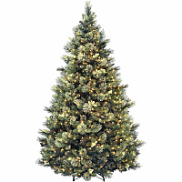 National Tree Company National Tree Carolina Pine Christmas Tree - Green Christmas Theme - Vertical - 1 Each (729083945977)