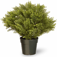 National Tree Company National Tree Globe Juniper Topiary Tree Juniper - Topiary - Pot1 Each (729083602283)