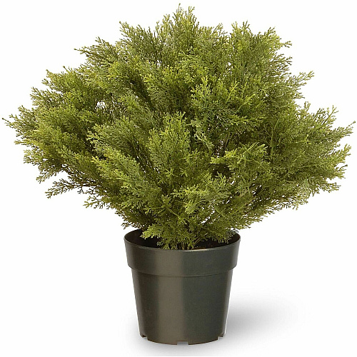 National Tree Company National Tree Globe Juniper Topiary Tree Juniper - Topiary - Pot1 Each (729083602283)
