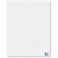 FranklinCovey Geographics Royal Brites Gridboard Poster Board (72709F)