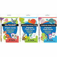 Shell Education Teacher Created Materials Literacy Skills Flash Cards Set Skill Learning: Literacy Skills - 1 Each (155911)