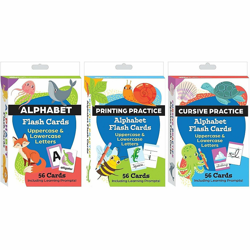 Shell Education Teacher Created Materials Literacy Skills Flash Cards Set Skill Learning: Literacy Skills - 1 Each (155911)