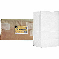 AJM #20 Squat White Paper Grocery Bags (WB20NP5CES)