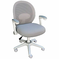 Boss Grey Mesh, Flip Arm, Task Chair, White Frame Gray Seat Color - Foam, Fabric Seat Material - Gray Back Color - Mesh Back Material - White Frame Color - 5-star Base - Gray - Mesh, Fabric - Armrest - 1 Each (676WTGY)