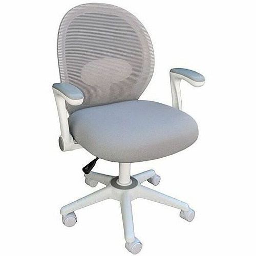 Boss Grey Mesh, Flip Arm, Task Chair, White Frame Gray Seat Color - Foam, Fabric Seat Material - Gray Back Color - Mesh Back Material - White Frame Color - 5-star Base - Gray - Mesh, Fabric - Armrest - 1 Each (676WTGY)