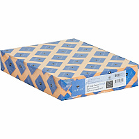Sparco Premium Grade Pastel Color Copy Paper (05125CT)