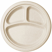 Vegware Sugarcane Plate (VWP007NFA)