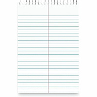 Business Source Green Tint Steno Notebook (96920)