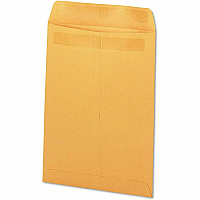 Business Source Self-Seal Catalog Envelopes (35292)