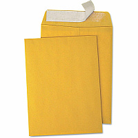 Business Source Kraft Peel-and-Stick Catalog Envelopes (40102)