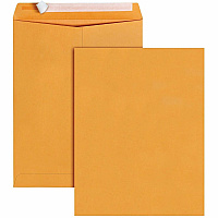 Business Source Kraft Peel-and-Stick Catalog Envelopes (40099)
