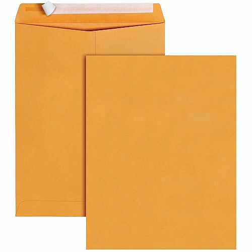 Business Source Kraft Peel-and-Stick Catalog Envelopes (40099)