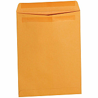 Business Source Self-Seal Catalog Envelopes (35290)
