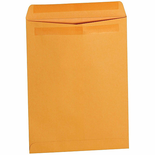 Business Source Self-Seal Catalog Envelopes (35290)