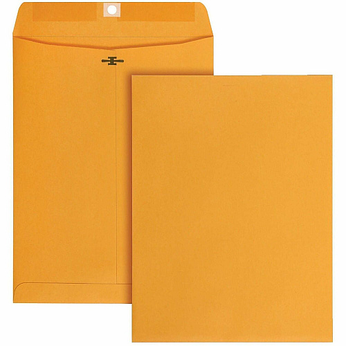 Business Source Self-Seal Catalog Envelopes (35269)