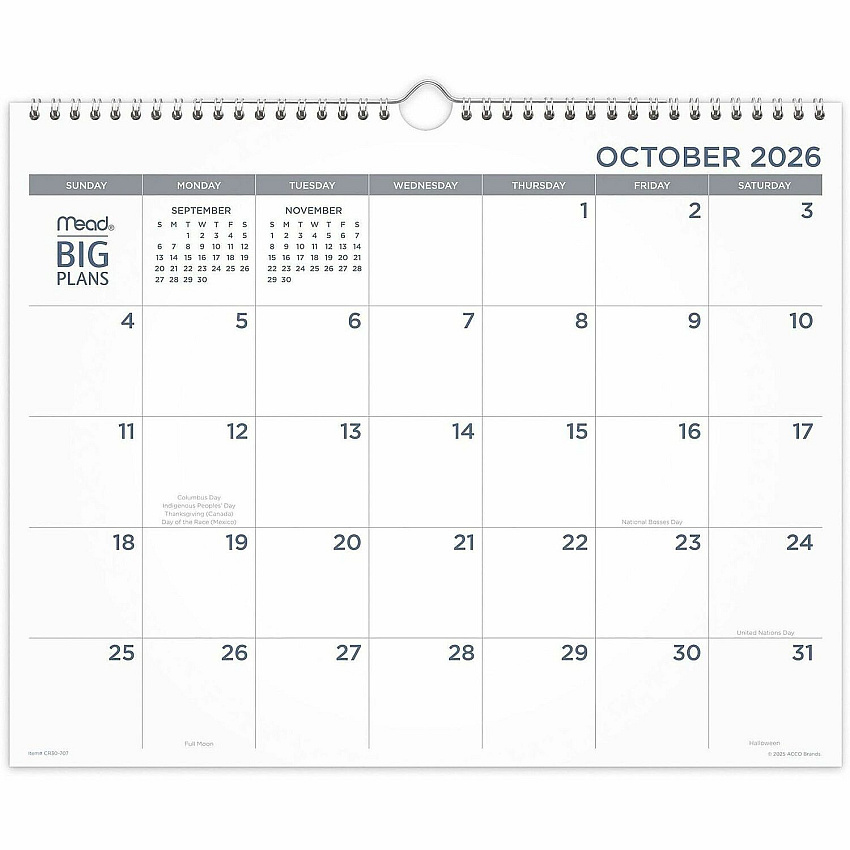 Mead BIG PLANS Monthly Wall Calendar (CR30707)