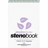 Roaring Spring Enviroshades Gregg-Ruled Steno Book (12264CT)