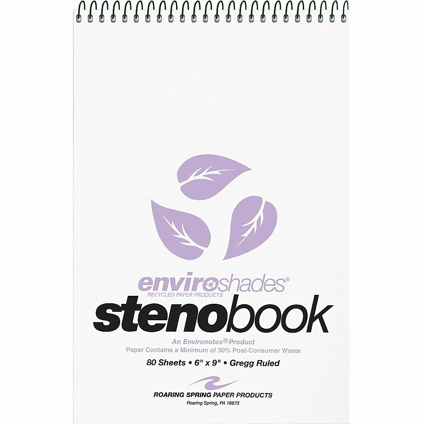 Roaring Spring Enviroshades Gregg-Ruled Steno Book (12264CT)