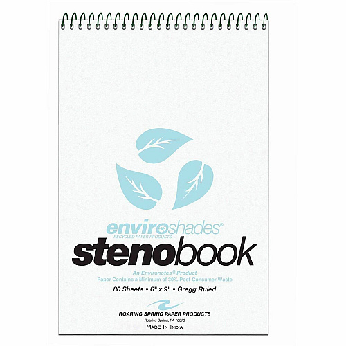 Roaring Spring Enviroshades Gregg-Ruled Steno Book (12284CT)