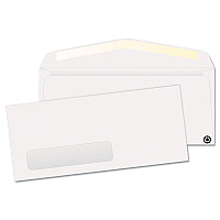 Quality Park Address-Window Envelope, Lower Left, #10, Commercial Flap, Gummed Closure, 4.13 x 9.5, White, 500/Box (21316)