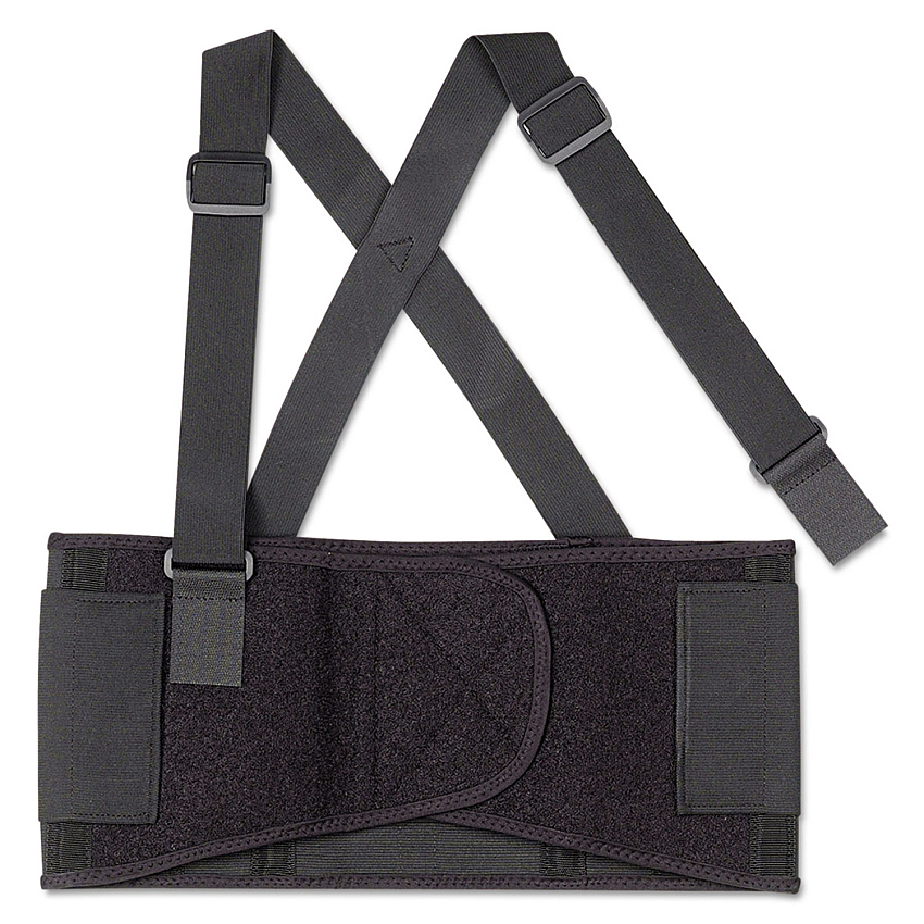 ergodyne ProFlex 1650 Economy Elastic Back Support Brace, Medium, 30" to 34" Waist, Black (11093)