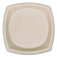 Dart Compostable Fiber Dinnerware, ProPlanet Seal, Plate, 10 x 10, Tan, 500/Carton (10PSC1PF)