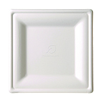 Eco-Products Renewable Square Sugarcane Plates, 10.25 x 10.25, Natural White, 50/Pack, 5 Packs/Carton (EPP023)