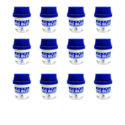 Boardwalk&reg; In-Tank Automatic Bowl Cleaners, Unscented, 12/Box (BWKABCBX)