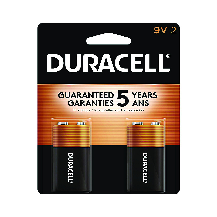 Duracell CopperTop Alkaline 9V Batteries, 2/Pack (MN1604B2Z)