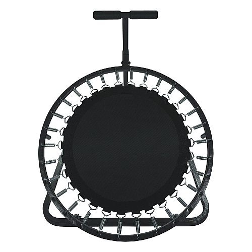 Champion Sports Medicine Ball Rebounder, 36" x 39", 28" dia (MBR40)