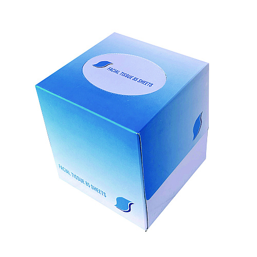 GEN&reg; Facial Tissues, 2-Ply, 85 Tissue Box, 36 Boxes (GEN852E)