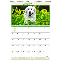 AT-A-GLANCE Puppies Monthly Wall Calendar, Puppies Photography, 15.5 x 22.75, White/Multicolor Sheets, 12-Month (Jan to Dec): 2026 (DMW16728)