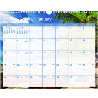 AT-A-GLANCE Tropical Escape Wall Calendar, Tropical Escape Photography, 15 x 12, Pale Blue/Multicolor Sheets, 12-Month (Jan to Dec): 2026 (DMWTE828)