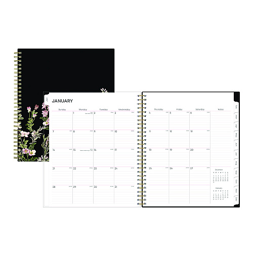 Blue Sky Nevaeh Monthly Planner, Floral Artwork, 10 x 8, Black/Multicolor Cover, 12-Month (Jan to Dec): 2026 (143947)