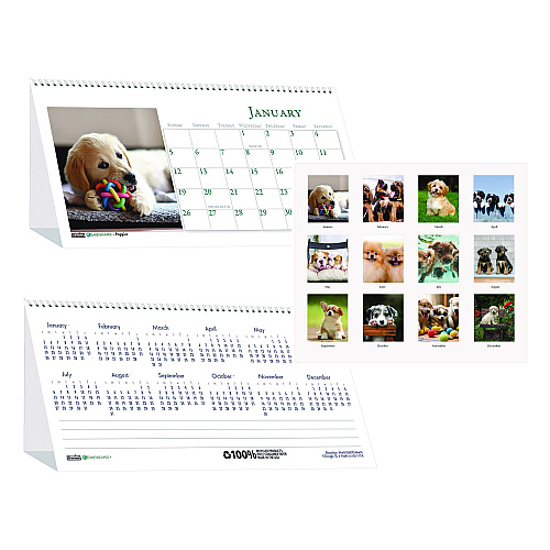 House of Doolittle Earthscapes Recycled Desk Tent Monthly Calendar, Puppies Photography, 8.5 x 4.5, White Sheets, 12-Month (Jan to Dec): 2026 (3659)