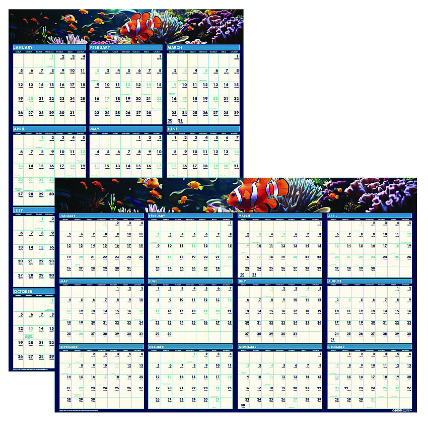 House of Doolittle Earthscapes Recycled Reversible/Erasable Yearly Wall Calendar, Sea Life Photos, 24 x 37, White Sheets, 12-Month(Jan-Dec):2026 (3969)