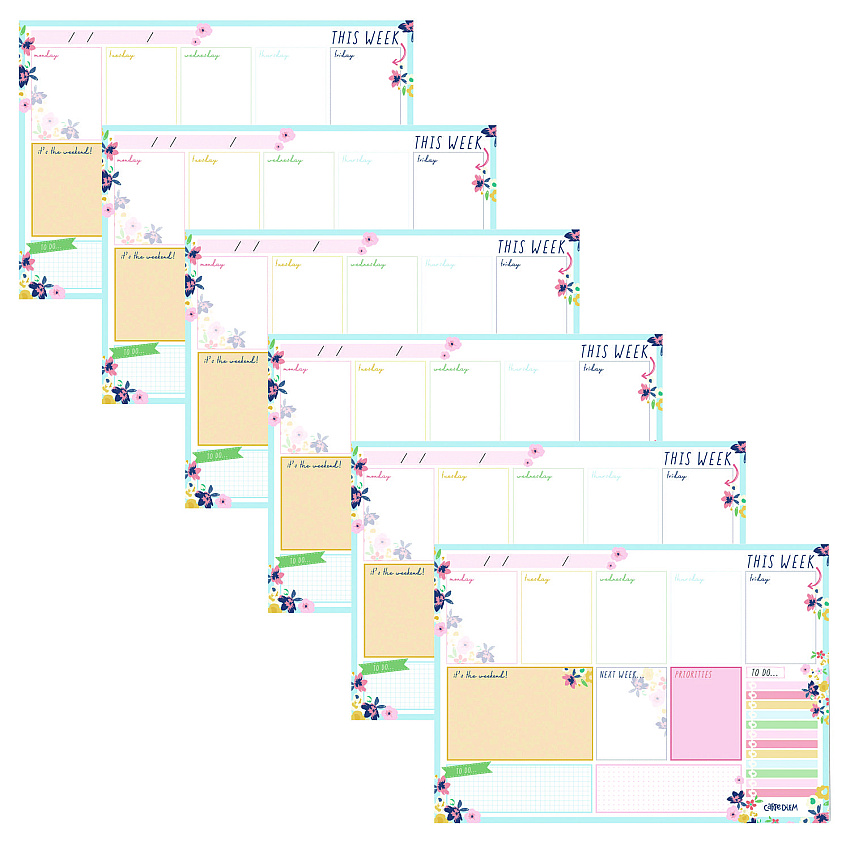 PUKKA PAD Weekly Planner Pad, Floral, 11.7 x 8.3, Blue/Pink/White/Yellow Cover, 12-Month, Undated, 6/Pack (9208CD)