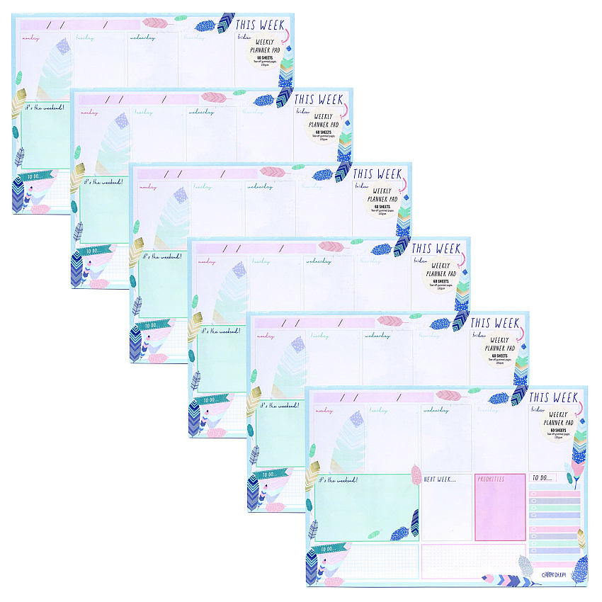 PUKKA PAD Weekly Planner Pad, Feathers, 11.7 x 8.3, Blue/Cream/Pink Cover, 12-Month, Undated, 6/Pack (9219CD)