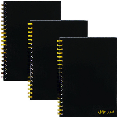 PUKKA PAD B5 Size Notebook, 1 -Subject, Medium/College Rule, Black Cover, (80) 9.8 x 6.9 Sheets, 3/Pack (9375CD)