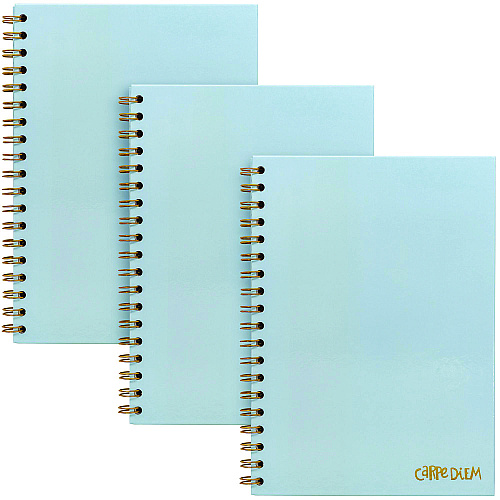PUKKA PAD B5 Size Notebook, 1 -Subject, Medium/College Rule, Blue Cover, (80) 9.8 x 6.9 Sheets, 3/Pack (9378CD)