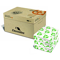 Cascades Enviro100 Copy Paper, 92 Bright, 20 lb Bond Weight, 8.5 x 14, White, 500 Sheets/Ream, 10 Reams/Carton (5103C)