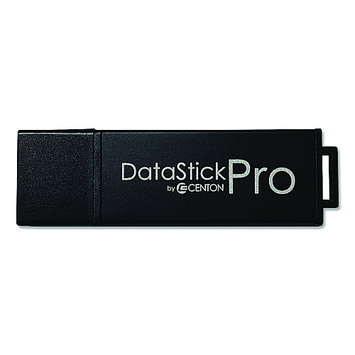 Centon DataStick Pro USB 3.2 Type A Flash Drive, 256 GB, Black (S1U3P6256G)